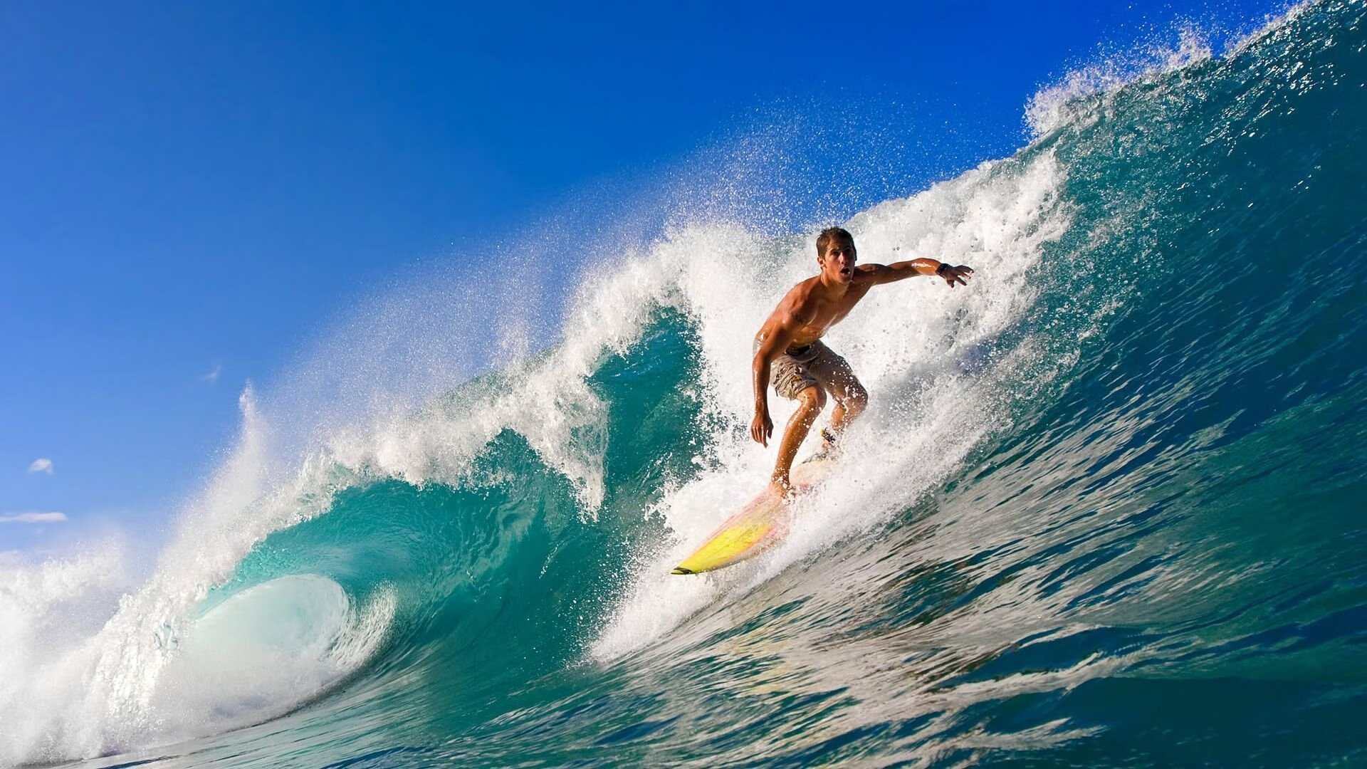 “青训+产业”融合创新,行业发展突破瓶颈迈上新台阶