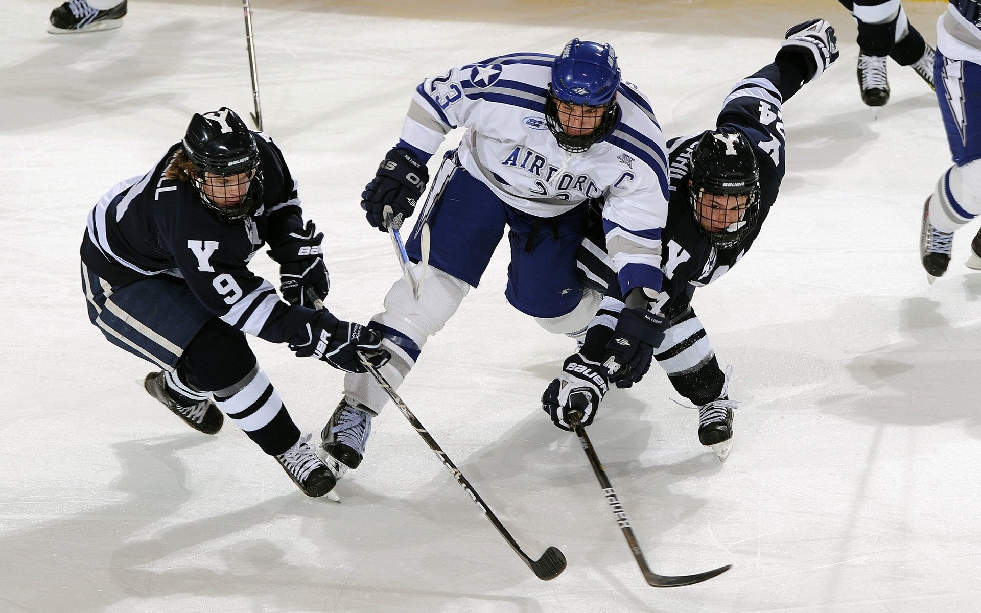 “青训+产业”融合创新,行业发展突破瓶颈迈上新台阶